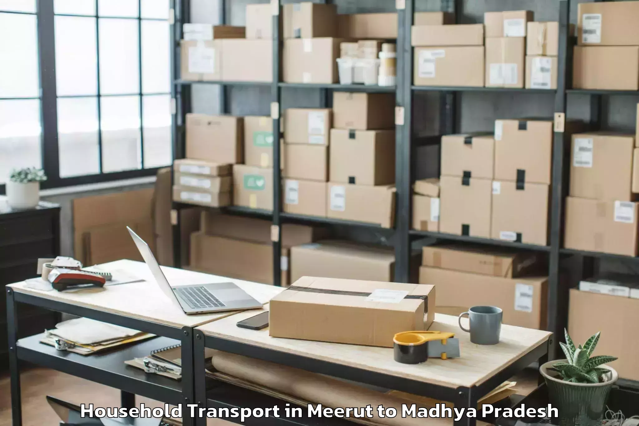 Easy Meerut to Madhyanchal Professional Unive Household Transport Booking